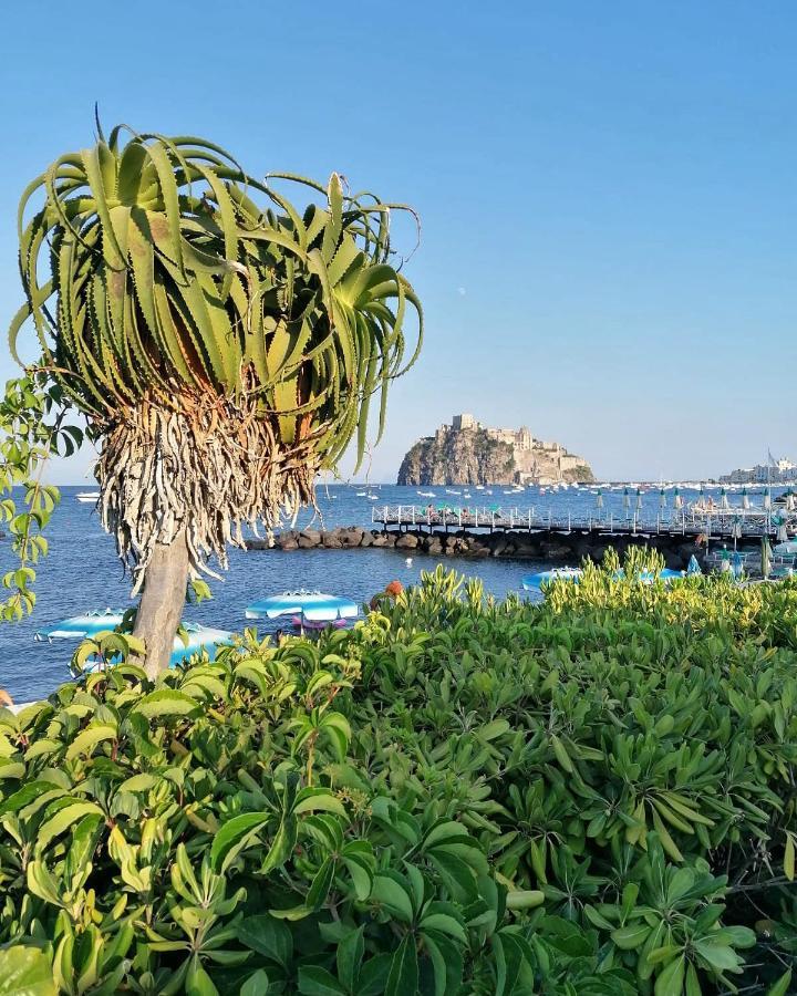 Maison Mele Ischia Esterno foto