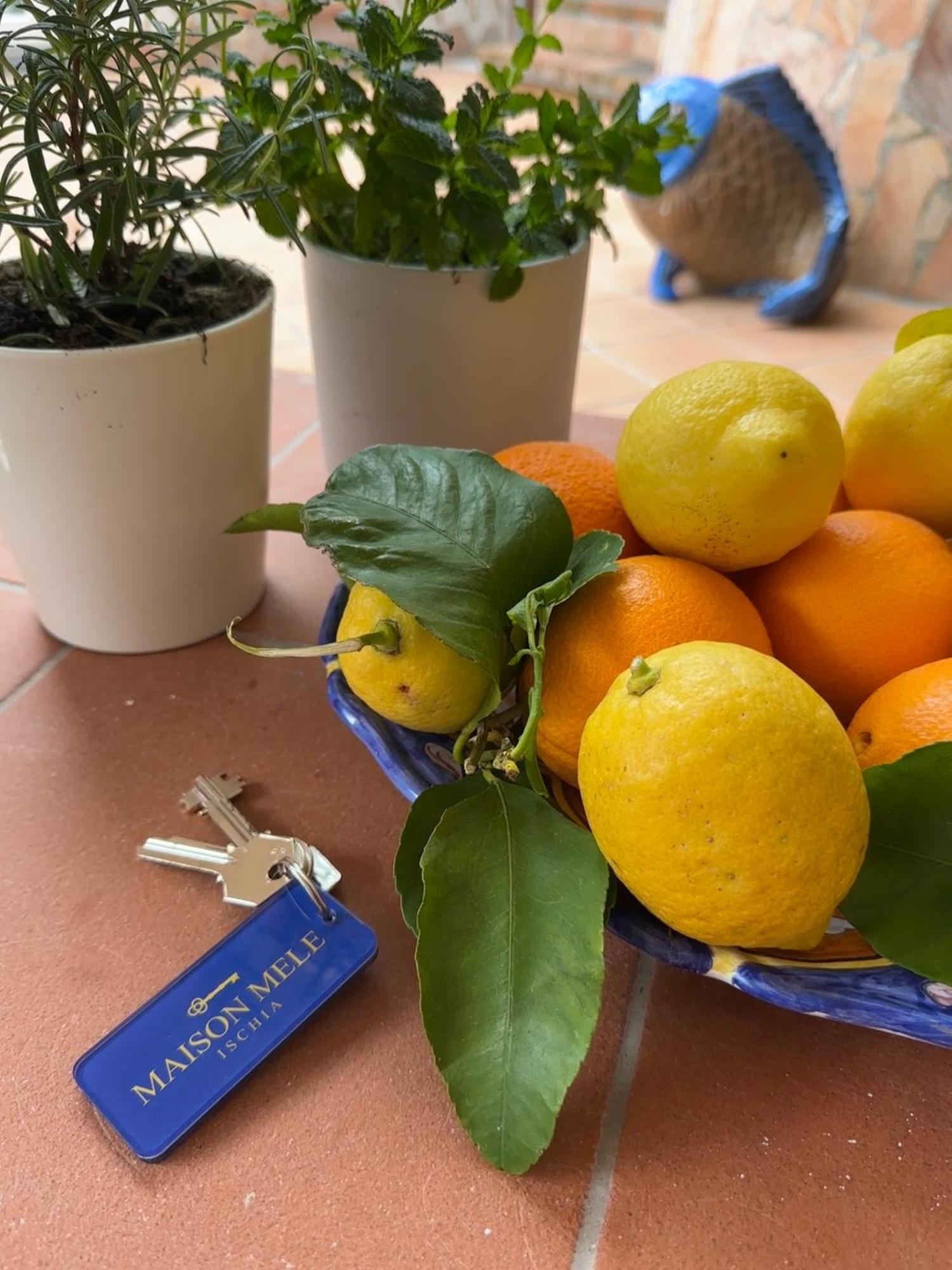 Maison Mele Ischia Esterno foto